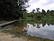 MacRitchie Reservoir