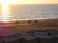 Des cavaliers sur une plage de Coudeville-sur-Mer, Normandie, France.