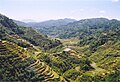 Ruộng bậc thang ở Banaue, di sản thế giới của Philippines