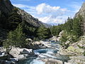 Rivière de Restonica en Corse