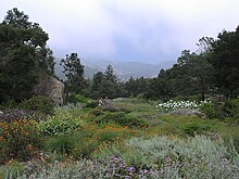 SBBotanicGarden1.jpg