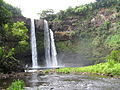 Wailua-fossar á Hawaii, BNA