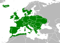 Distribution of the Wood Mouse (Apodemus sylvaticus)