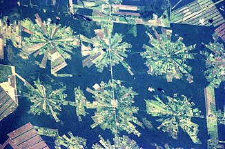 Satellite image of Bolivia forestry