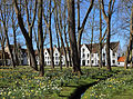 The Begijnhof in Bruges (Belgium)