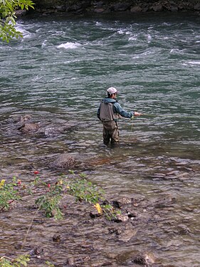 Südtirol - Angler in der Rienz