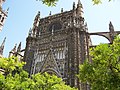 Cathedral from the Patio de los Naranjos.