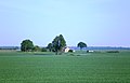 A solitary homestead of Berželė