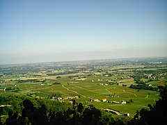 Paysage du Beaujolais et ses vignes.