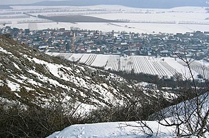 Hundsheim und seine winterlichen Weingärten vom Südhang des Hundsheimer Berges, dem sog. Hexenberg