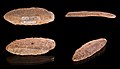 * Nomination Flint blade - Upper Paleolithic --Archaeodontosaurus 12:10, 2 August 2010 (UTC) * Promotion Very good. --Cayambe 16:54, 2 August 2010 (UTC)