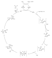 Vorschaubild der Version vom 21:25, 1. Jan. 2010