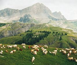 Col des Champs