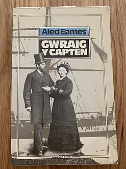 Llyfr Aled Eames, yn olrhan hanes dyddiadur Ellen Owen o Dudweilog ar ei mordaith adref o San Francisco. Ar y clawr mae llun ohoni a'i gwr, Capten Thomas Owen, hefyd o Dudweiliog.