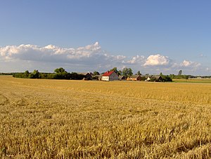 Sempulno apriņķa ainava (Kameņas Krajeņskas gminas Nova Vesas ciems)