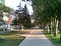 Callejón verde en el centro de la ciudad