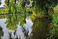 The Smotrych River in Horodok