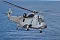 CH-124 Sea King