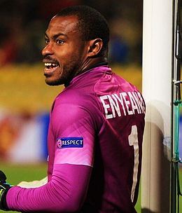 Enyeama 2014-ben