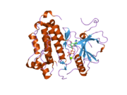 2itn: CRYSTAL STRUCTURE OF EGFR KINASE DOMAIN G719S MUTATION IN COMPLEX WITH AMP-PNP