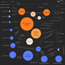 Infographic showing arrows between circles representing stellar evolution and how it varies by mass