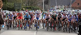 Peloton in de E3 Harelbeke 2008