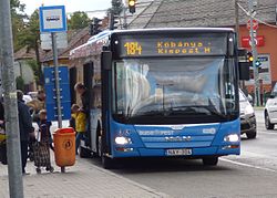 184-es busz a Szarvas csárda téren