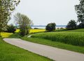 Kulturlandskap med Kieler Förde i bakgrunnen