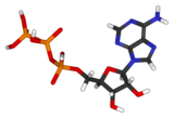 ATP 3D