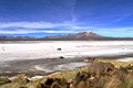 Salar de Surire