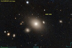 Image illustrative de l’article NGC 1239