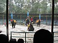 Voorstelling met olifanten in de Shanghai Zoo