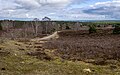 Blick vom Brunsberg bei Sprötze in Richtung Osten.