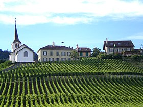 Blick auf Féchy-Dessus mit Kirche