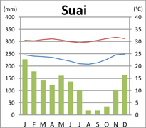 Klimadiagramm von Suai