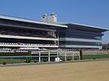 Tokyo Racecourse in western Tokyo, Japan