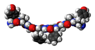 Space-filling model of Biphalin