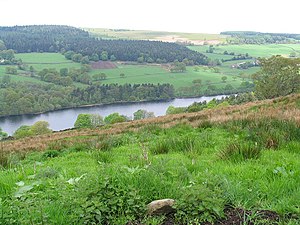 Dale Dike Reservoir. In 1864 brak de dam van dit bekken en veroorzaakte de grote overstroming van Sheffield