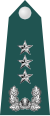 中将