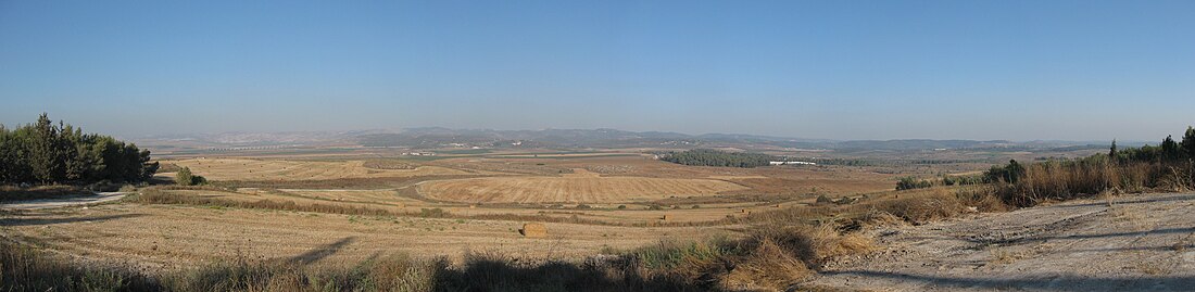 עמק איילון מיער המגינים