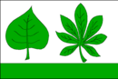 Drapeau de Chlumek