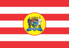 Flag of Blumenau.svg