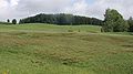 Primulo-Schoenetum ferruginei Germany - Oberschwaben