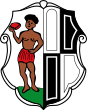 Coat of arms of Schauenstein