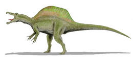 A Spinosaurus rekonstrukciója.