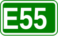 E55 shield