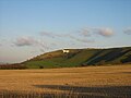 Figuren Westbury White Horse nær Westbury.