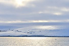 Bahía Zhuravlev, ubicada en la costa oeste de la isla Komsomolets (80°44’N, 93°19‘E).