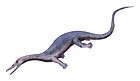 Askeptosaurus italicus