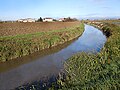 Torrente Seriola Gozzolina